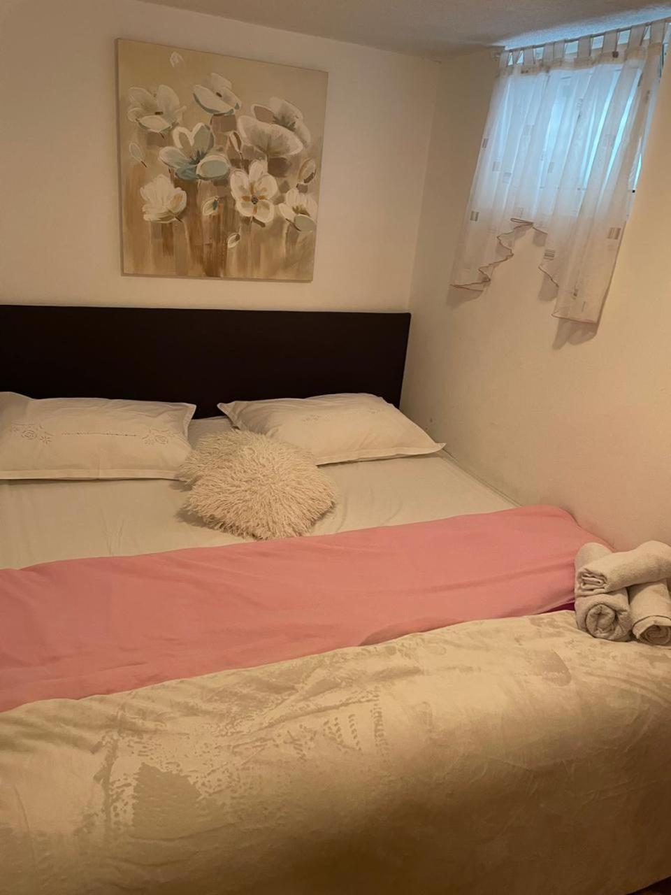 Apartman Suzana Sindija ビビニェ エクステリア 写真